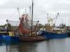 HWK Texel 096_small.jpg